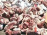 کشف ۶۰۶ کیلوگرم گوشت قرمز فاسد در زاهدان
