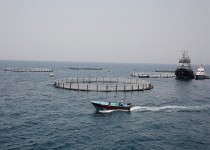 رونق اشتغال و ارزآوری سواحل مکران در گرو توسعه زیرساخت‌ها است