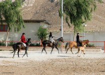 مشکلات زیرساختی؛ پاشنه آشیل سوارکاری زاهدان