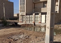 عکس از اینترنت