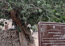 نصب تابلوهای راهنما به‌منظور معرفی محوطه‌های تاریخی در «میرجاوه»‏