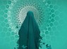 حجاب و عفاف معرف شخصیت هر فرد است
