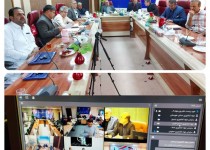 تولید بیش از ۱۰ هزار تن گوشت مرغ در واحدهای مرغداری سیستان و بلوچستان