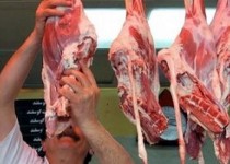 گرانی مرغ و افزایش تقاضا، نوسان کمی در قیمت دام زنده داشت