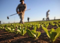 آموزش بنیان توسعه و ترویج مکتب تحقق است