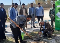  طرح کاشت یک میلیارد اصله درخت در سیستان و بلوچستان اجرا شد