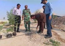 کاشت بیش از ۲۲ هزار اصله نهال در سیستان و بلوچستان