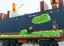 مبادله حدود ۲ میلیون تن محصولات کشاورزی در مرزهای سیستان و بلوچستان