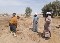 ۱۰۰۰ نهال در بقعه متبرکه بی‌بی دوست کاشته شد