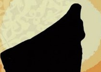 حجاب برای ترفیع مقام زن آمده است