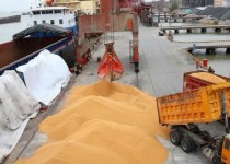 مبادلات مرزی محصولات کشاوری به بیش از ۲۸۷ هزار تن رسید