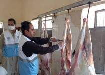 فعالیت ۵۹ تیم نظارت بهداشتی دامپزشکی سیستان و بلوچستان در ایام محرم