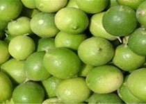 طلای ترش سیستان‌وبلوچستان در انتظار توجه مسئولان