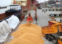 رشد بیش از ۷ درصدی مبادلات مرزی محصولات کشاورزی