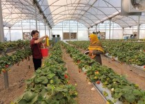 کارآفرینی راهکاری برای رشد اقتصادی است