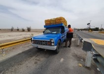 رشد ۵۱ درصدی تعداد ناوگان وانت بار در سیستان و بلوچستان