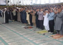 حضرت زهرا (س) محور وحدت است