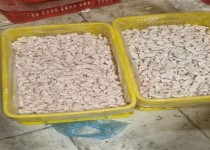 معدوم‌سازی بیش از ۶۰۰ کیلوگرم چربی مصنوعی در سیستان و بلوچستان