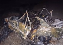 برخورد پژو با دو گاو ۵ کشته بر جای گذاشت