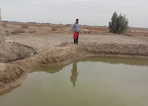 جوان سیستانی کارآفرین موفق صنعت شیلات شد