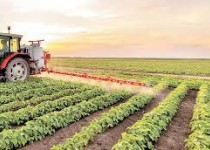 کشاورزی رکن توسعه اقتصادی و امنیت غذایی