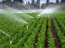 اجرای ۱۲۳ هکتار آبیاری نوین در زاهدان
