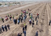 عملیات اجرایی پارک بانوان نصرت آباد زاهدان آغاز شد