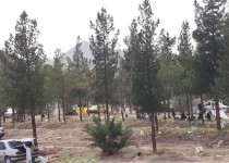 استقبال گسترده مردم زاهدان از روز طبیعت