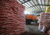 توزیع ۳ هزار تن برنج پاکستانی در سیستان‌وبلوچستان