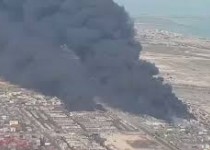 لاشخورها به دنبال چه می گردند!