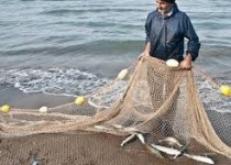 تولید ۸۰ درصد تور ماهیگیری کشور در سیستان‌وبلوچستان