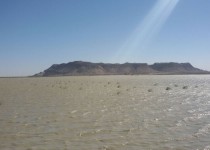 هم‌افزایی بومی برای تأمین حیات