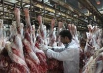 افزایش تولید گوشت قرمز در سیستان‌وبلوچستان