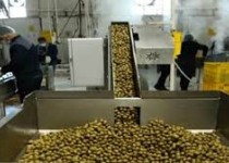 ایجاد ظرفیت فرآوری ۱۹۶ هزار تن محصولات کشاورزی