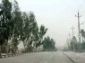 کاهش دید افقی به ۵۰۰ متر در زاهدان در پی طوفان