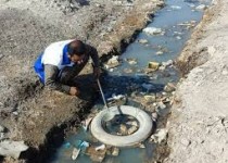 عمده‌ترین مناطق تکثیر پشه آئدس آب‌های راکد است