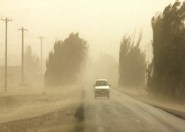 تابستانی در محاصره خاک