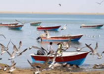 جایگاه بی‌رقیب شیلات سیستان‌وبلوچستان در اقتصاد کشور