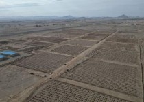 پارک جنگلی تحولی سبز در شهر زاهدان