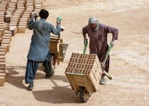 شناسایی ۳۰۹ نیروی کار خارجی غیرمجاز در سیستان‌وبلوچستان