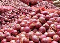 پرداخت مطالبات پیازکاران سیستان و بلوچستان