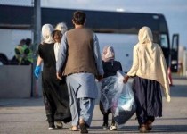 نظارت تعزیرات حکومتی بر حمل‌ونقل اتباع بیگانه