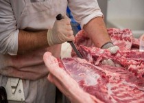 نگهداری دام در معابر تهدیدی برای سلامت