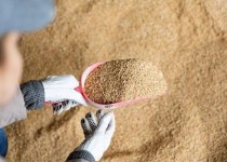 سنگ بنای تولید پایدار محصولات پروتئینی