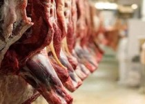 سراوان در مرز توسعه با دام می‌تازد