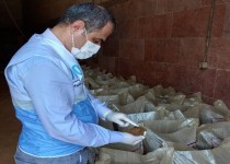 نظارت بهداشتی بر تولید ۲۳۵۰ تن پودر ماهی