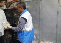 کشف و معدوم‌سازی گوشت‌های فاسد در زاهدان