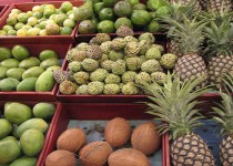 سیستان‌وبلوچستان در مسیر تبدیل به قطب باغداری گرمسیری