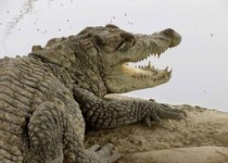 هشدار فوری محیط زیست سیستان‌وبلوچستان