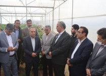 سرمایه‌گذاری ۲.۲ هزار میلیاردی در احداث گلخانه‌ها